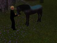 A Sim feeding a unicorn