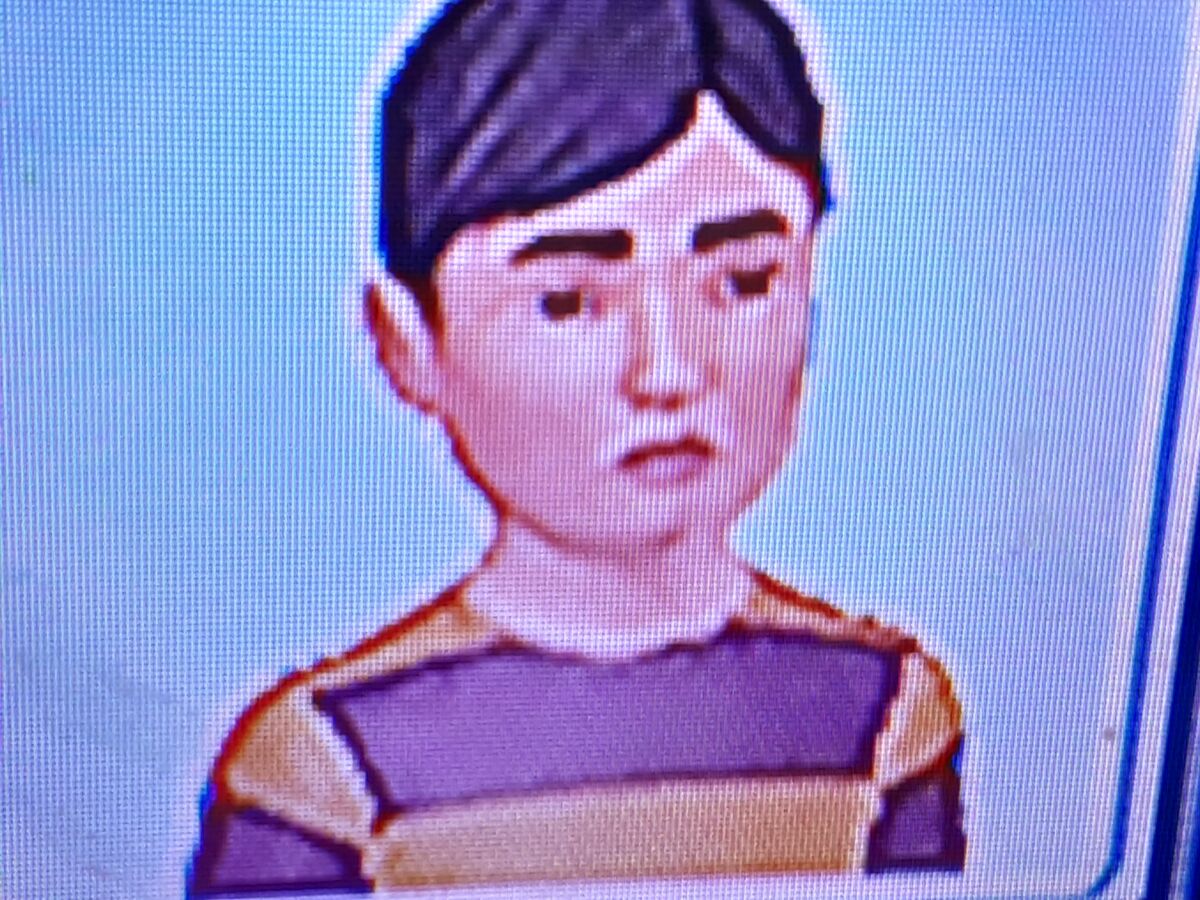 Fanonatticus Zhang The Sims Wiki Fandom