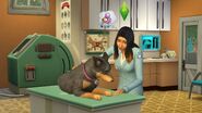 TS4 Cats and Dogs 3