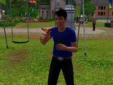 Collecting (The Sims 3)