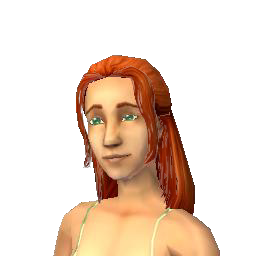 The Sims 2, The Sims Wiki