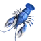 Blue Crawdad