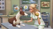 The Sims 4 Cats & Dogs Screenshot 14