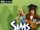 Les Sims 2: Académie