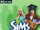 Les Sims 2: Académie