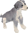 TS Левретка.png (7 КБ) Левретка