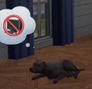 A dog expressing discontent for a computer in The Sims 4.