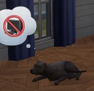 A dog expressing discontent for a computer in The Sims 4.