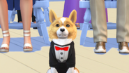 TS4 Cats and Dogs 8