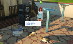 Blog Utilisateur Juleski Test Les Sims 4 Jour De Lessive Simpedia Wiki Les Sims Fandom