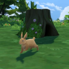 TS4 Wild Rabbit