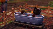 TS3Seasons Applebobbing