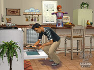 The Sims 2 Seasons Screenshot 03