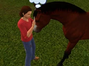 A Sim lovingly stroking his horse