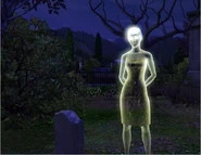 Аннабель Онкислопс, призрак, умерший от удара током