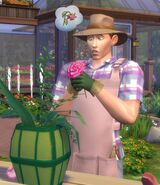 LS4YLCEimagen8.jpg (202 kB)