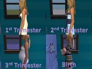 Pregnancy cycle in The Sims 2