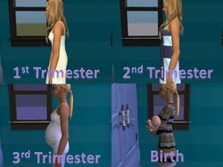 sims 2 pregnancy