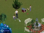 Jeff, Diane and Daniel with two dogs in The Sims: Unleashed.