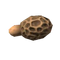 Morel Mushroom.png