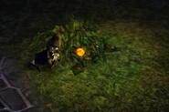 An Invention Gnome sitting by a Flame Fruit bush.