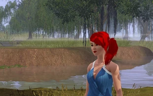 En sim i The sims 3