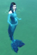 A pregnant mermaid swimming in her 3rd trimester.