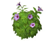 Gartenaccessoires-031-1-.jpg (51 KB)