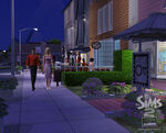 Les Sims 2 La Bonne Affaire 24