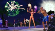 TS3 seasons summer firework