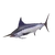 Swordfish