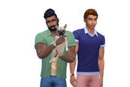Hecking family