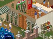 The Sims Unleashed Screenshot 09