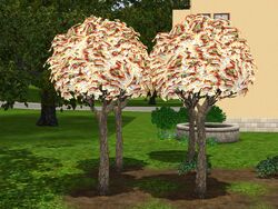 Mature money trees in The Sims 3.