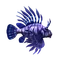 Scorpionfish