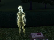 Lolita's ghost and a grave