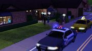 If your sims' party gets too wild, the police may come to defuse the party.