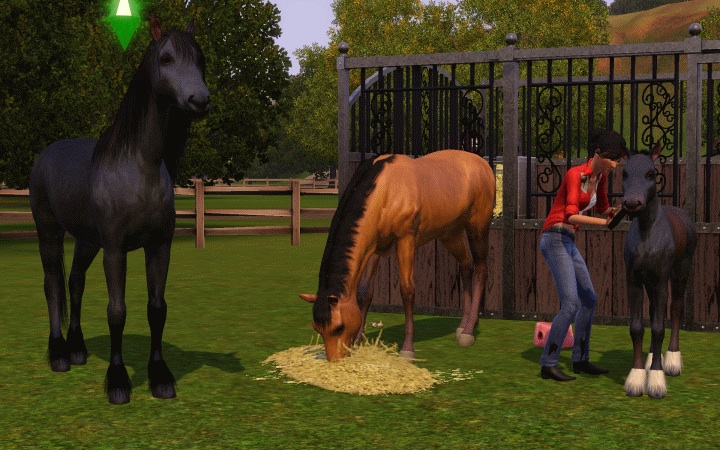 sims 3 pets horses