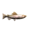 Trout