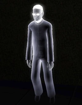 Призрак — старость (The Sims 3)