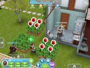 The sims freeplay11