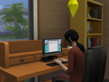 Writing (The Sims 4)
