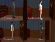 Alien pregnancy cycle in The Sims 2