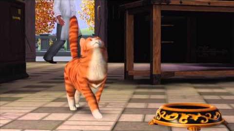 The Sims 3 Pets. Have a Pet. Be a Pet.