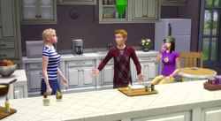 Free Spirit household, The Sims Wiki