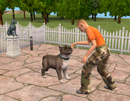 Meat and Coach training at Playground for Precious