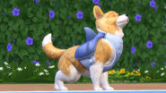 The Sims 4 Cats & Dogs Screenshot 09