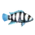 Цихлида