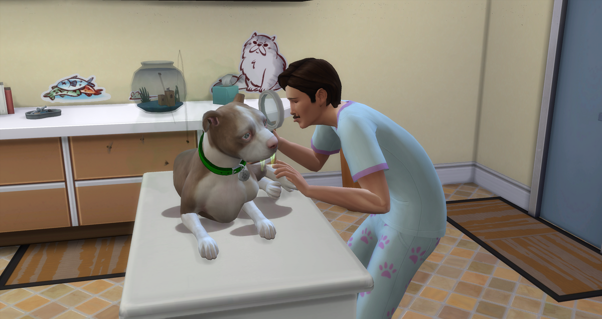 Sims 4 cheap vet treatment