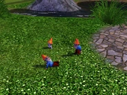 Gnome Family